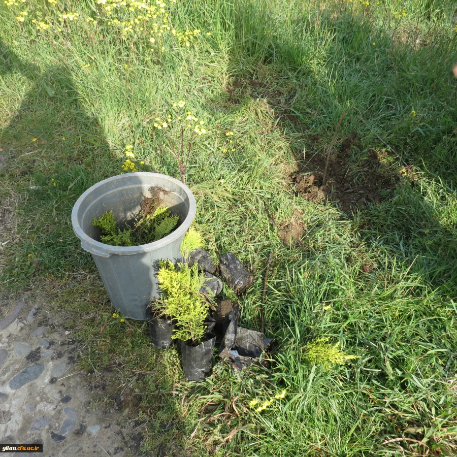 دانشگاه بنت الهدی صدر در روز درختکاری