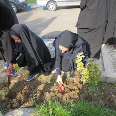 دانشگاه بنت الهدی صدر در روز درختکاری