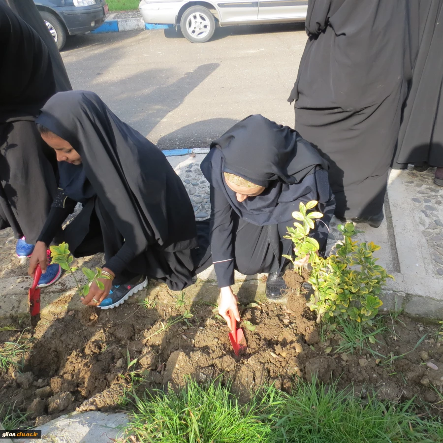 دانشگاه بنت الهدی صدر در روز درختکاری
