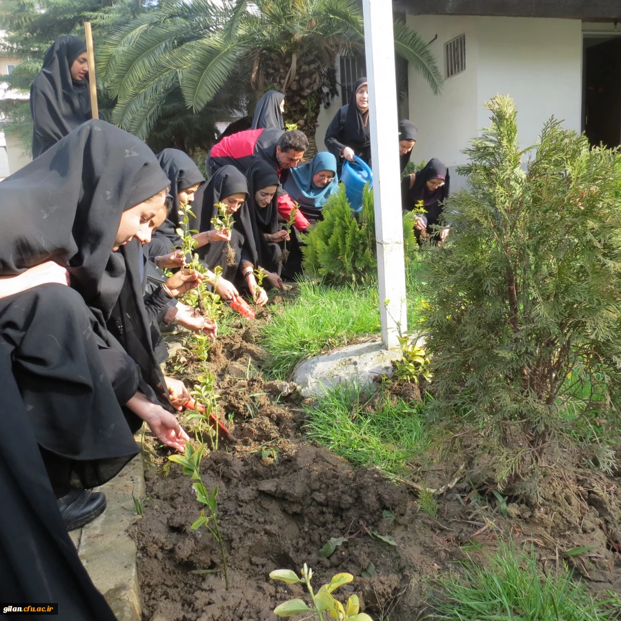 دانشگاه بنت الهدی صدر در روز درختکاری