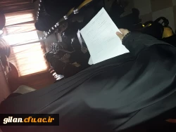 جشنواره فیلم رشد