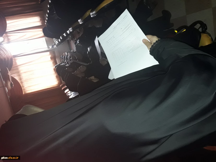 جشنواره فیلم رشد