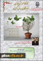 خودآگاهی و هدف گزینی 2