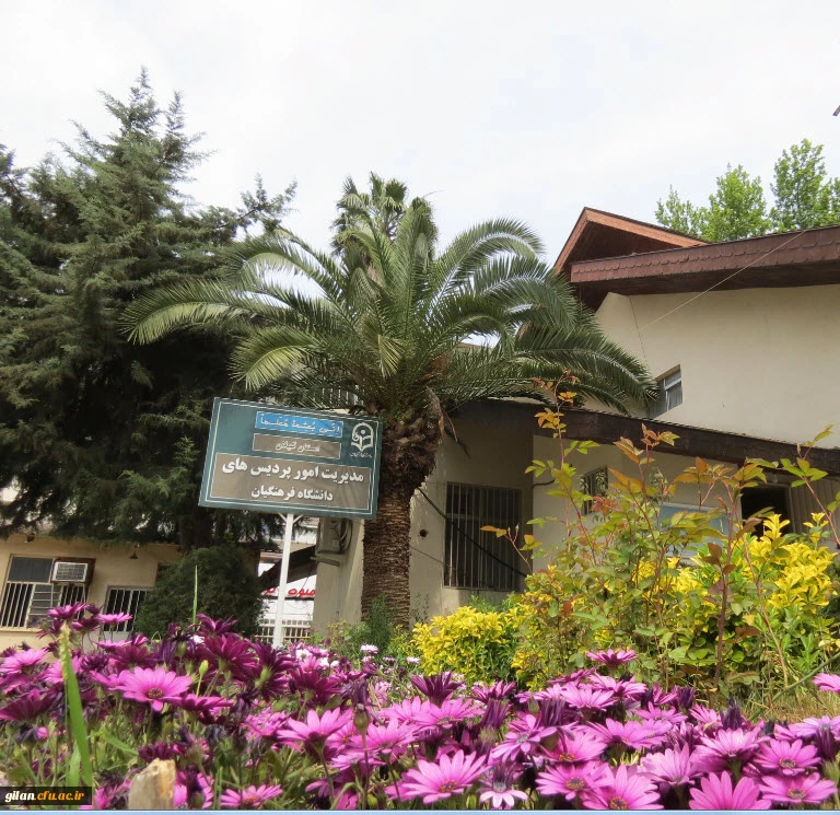 برگزاری جشنواره سپاس از مدافعان سلامت 3