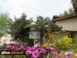  گواهی حضور وبینار آموزشی 2