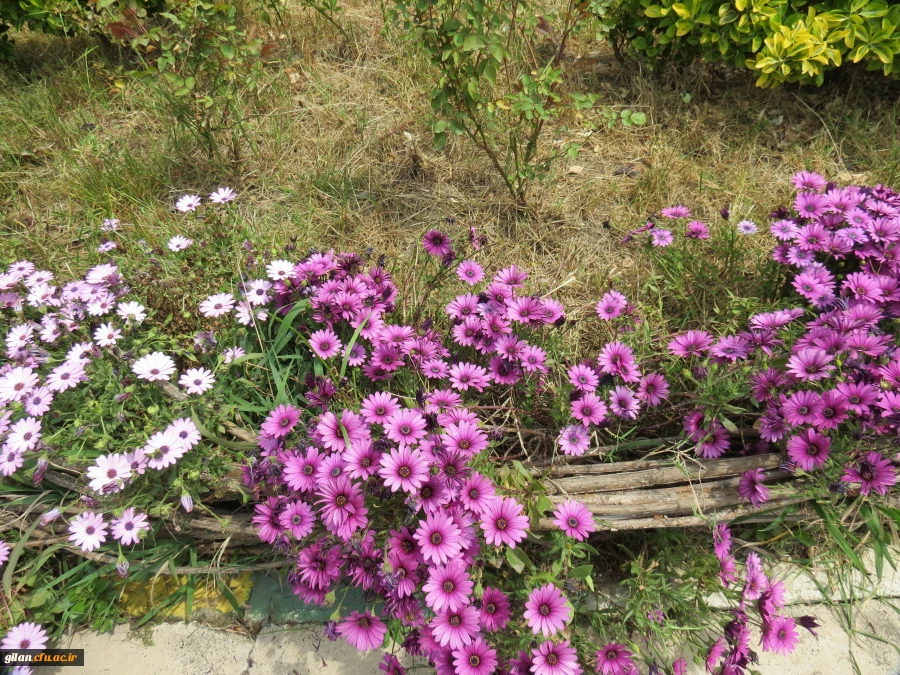 دستور العمل بیست و دومین جشنواره تجلیل از پژوهشگران 4