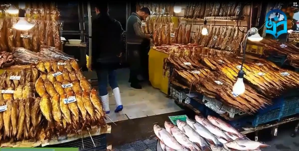 نمایشگاه مستند بازارهای ادواری و دائمی چهار استان  گیلان ، قزوین، البرز وتهران 3