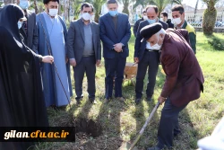   در اسلام کشت درخت  دارای اهمیت فراوان و حفاظت از آن  بسیار توصیه شده است.
 2