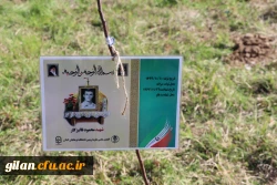   در اسلام کشت درخت  دارای اهمیت فراوان و حفاظت از آن  بسیار توصیه شده است.
 5