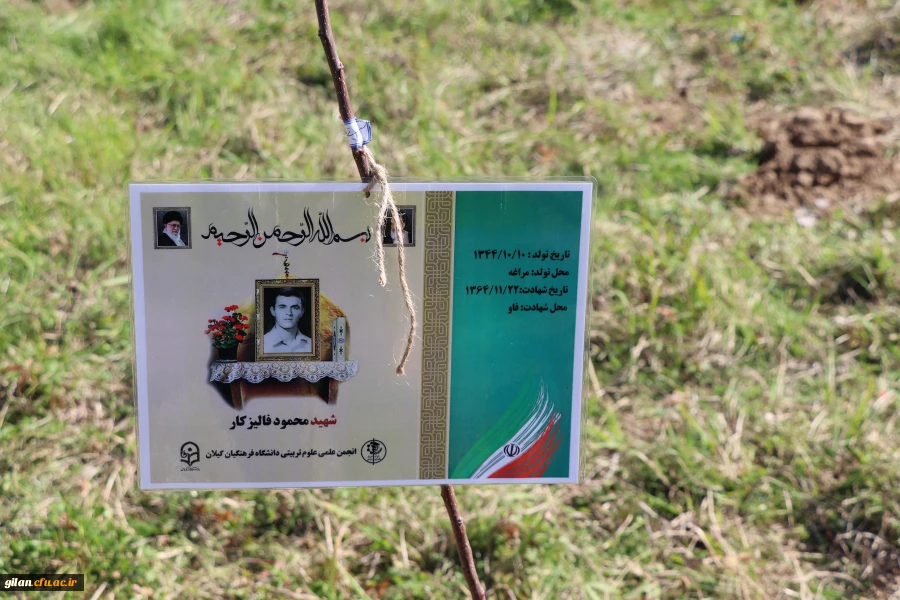   در اسلام کشت درخت  دارای اهمیت فراوان و حفاظت از آن  بسیار توصیه شده است.
 5