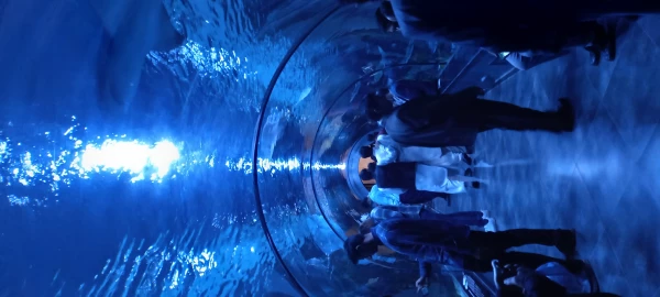 شرکت دانشجومعلمان قرآنی در اردوی سیاحتی  انزلی 4