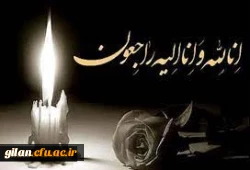 682391_4048363012_272_185