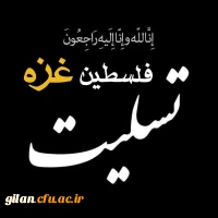 محکومیت جنایت رژیم کودک کش اسرائیل در غزه  2