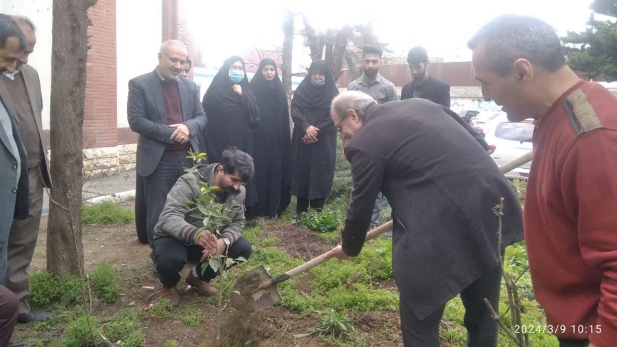 به مناسبت روز درختکاری تعدادی نهال در پردیس امام علی (ع) رشت کاشته شد 2