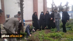 به مناسبت روز درختکاری تعدادی نهال در پردیس امام علی (ع) رشت کاشته شد 2