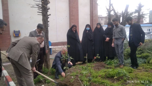 به مناسبت روز درختکاری تعدادی نهال در پردیس امام علی (ع) رشت کاشته شد 2