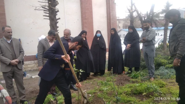 به مناسبت روز درختکاری تعدادی نهال در پردیس امام علی (ع) رشت کاشته شد 2