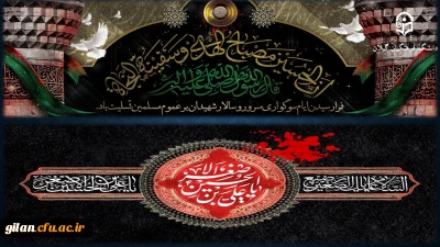 السَّلامُ عَلَیْکَ یا اَباعَبْدِاللَّهِ وَ عَلَی الارْواحِ الَّتی حَلَّتْ بِفِناَّئِکَ