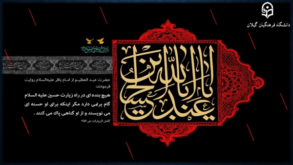 السَّلامُ عَلَیْکَ یا اَباعَبْدِاللَّهِ وَ عَلَی الارْواحِ الَّتی حَلَّتْ بِفِناَّئِکَ 7