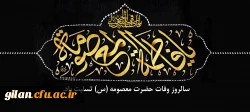 سالروز وفات حضرت معصومه(س) تسلیت باد. 2