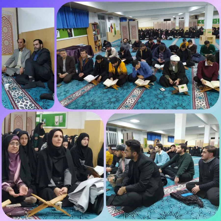 IMG_20250310_092759_222