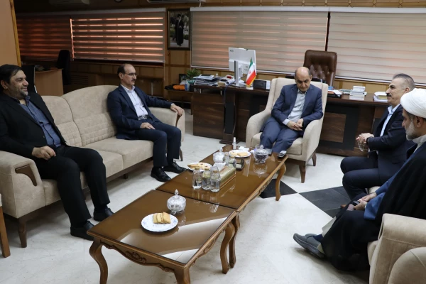 دیدار معاونت آموزشی وتحصیلات تکمیلی  دانشگاه فرهنگیان کشور و هیات همراه با  دکتر حق شناس استاندار گیلان

 3