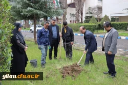 درختکاری به مناسبت گرامیداشت یادوخاطره شهیدان جنگ رمضان 2