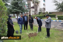درختکاری به مناسبت گرامیداشت یادوخاطره شهیدان جنگ رمضان 3