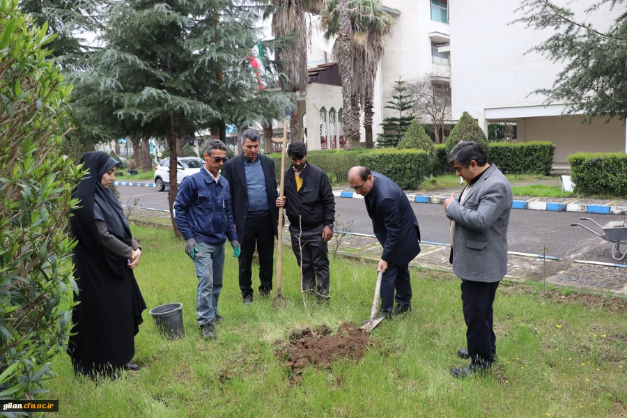درختکاری به مناسبت گرامیداشت یادوخاطره شهیدان جنگ رمضان 3