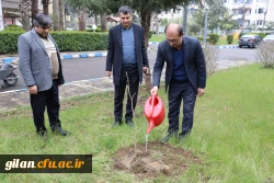 درختکاری به مناسبت گرامیداشت یادوخاطره شهیدان جنگ رمضان 4