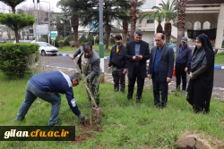 درختکاری به مناسبت گرامیداشت یادوخاطره شهیدان جنگ رمضان 6