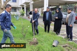 درختکاری به مناسبت گرامیداشت یادوخاطره شهیدان جنگ رمضان 10